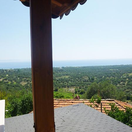 Vila Altini Borş Dış mekan fotoğraf