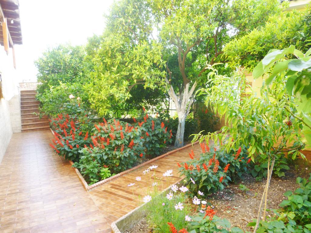 Vila Altini Borş Dış mekan fotoğraf