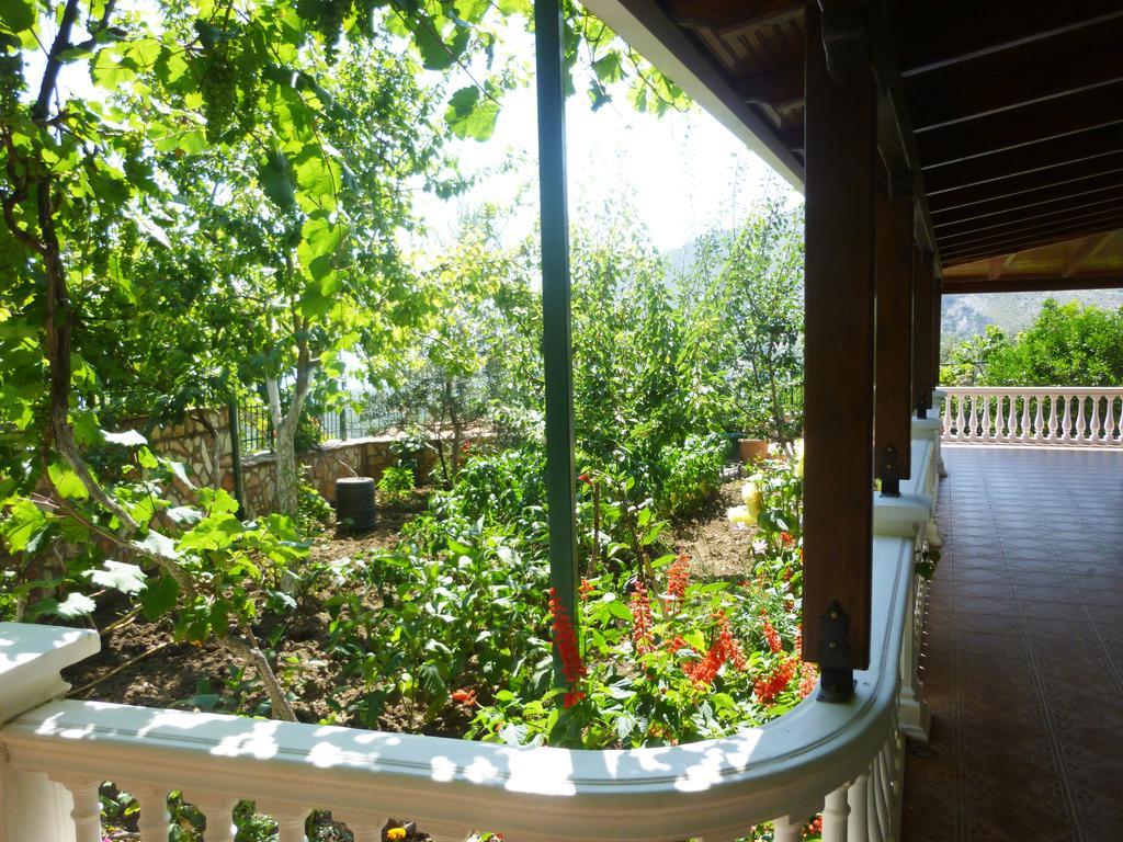 Vila Altini Borş Dış mekan fotoğraf