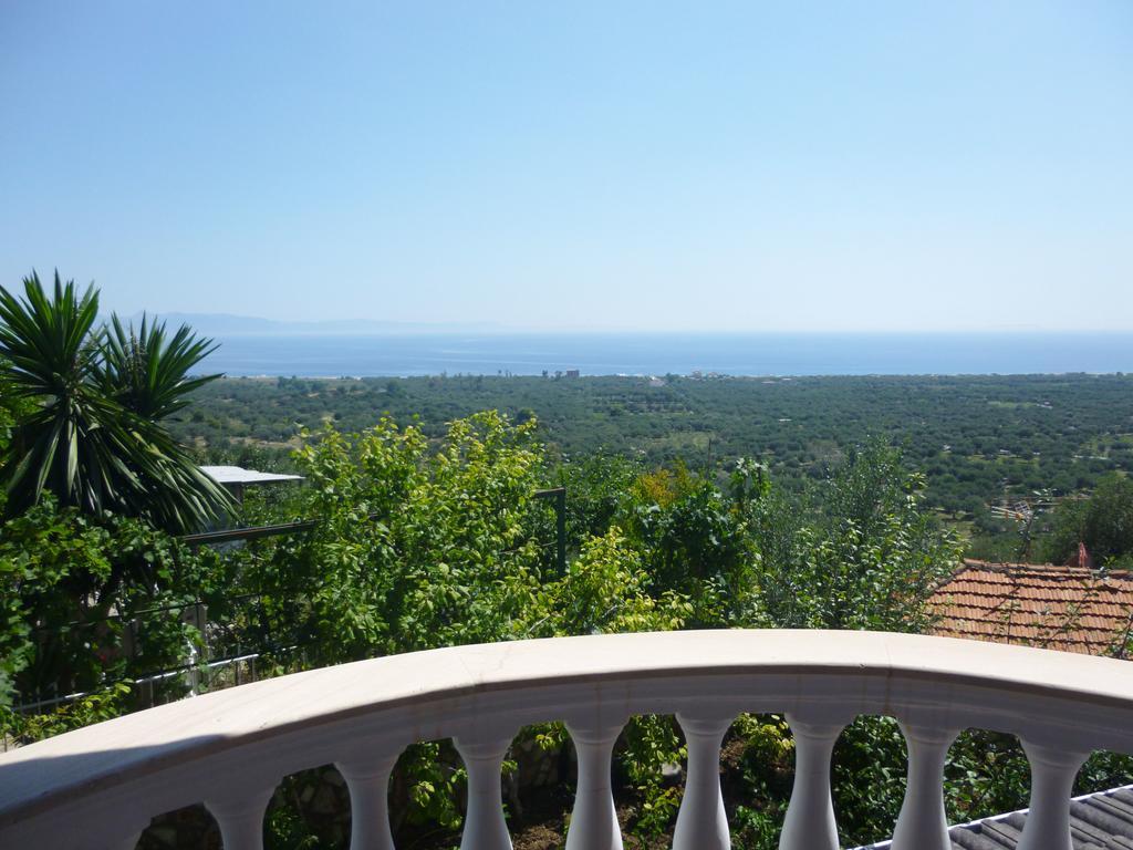 Vila Altini Borş Dış mekan fotoğraf