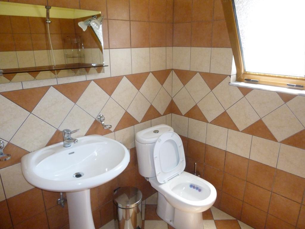 Vila Altini Borş Dış mekan fotoğraf
