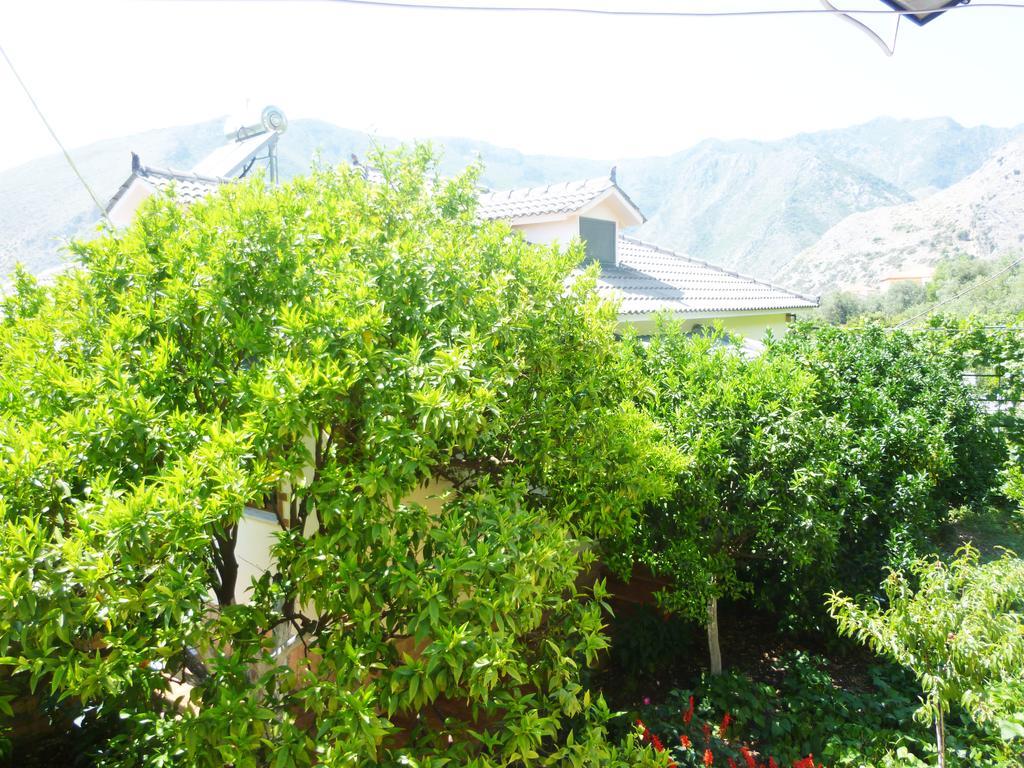 Vila Altini Borş Dış mekan fotoğraf