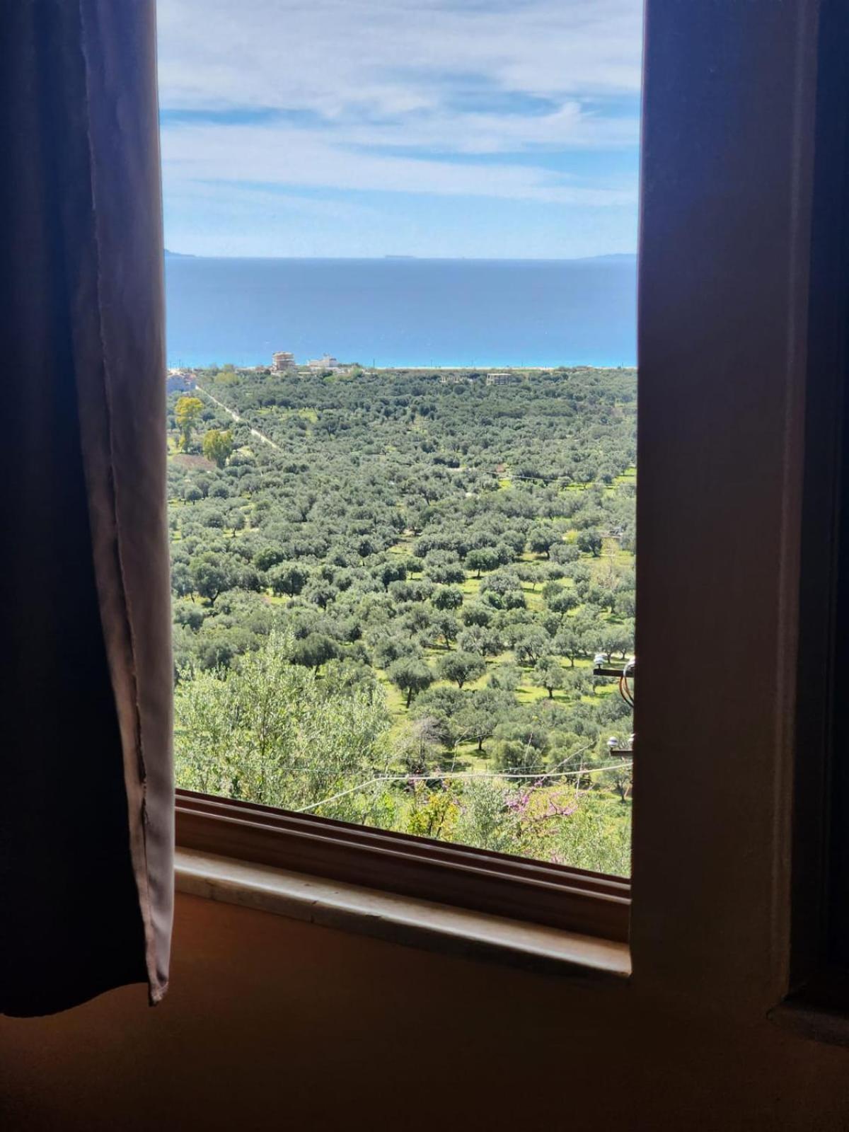 Vila Altini Borş Dış mekan fotoğraf
