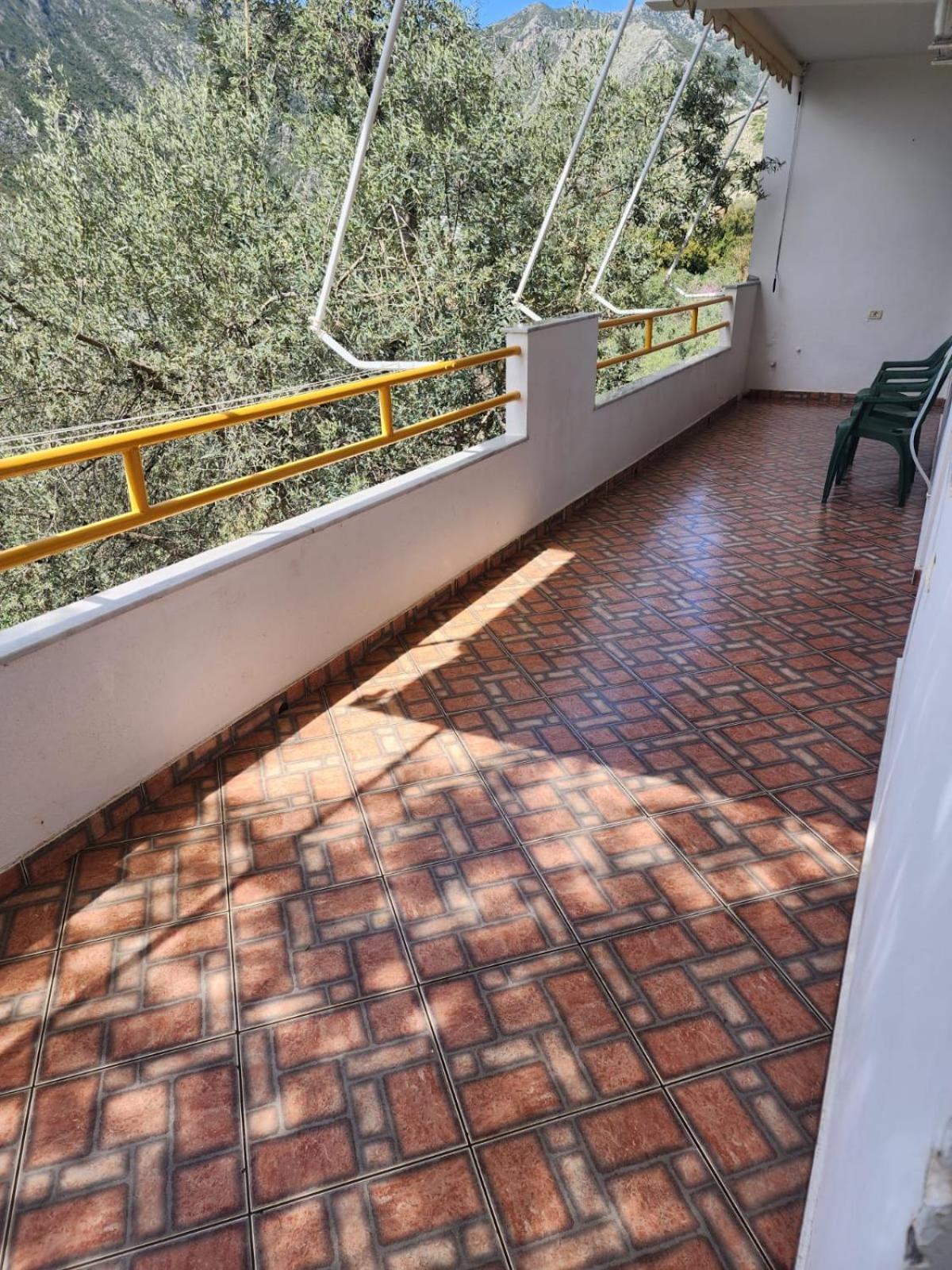 Vila Altini Borş Dış mekan fotoğraf