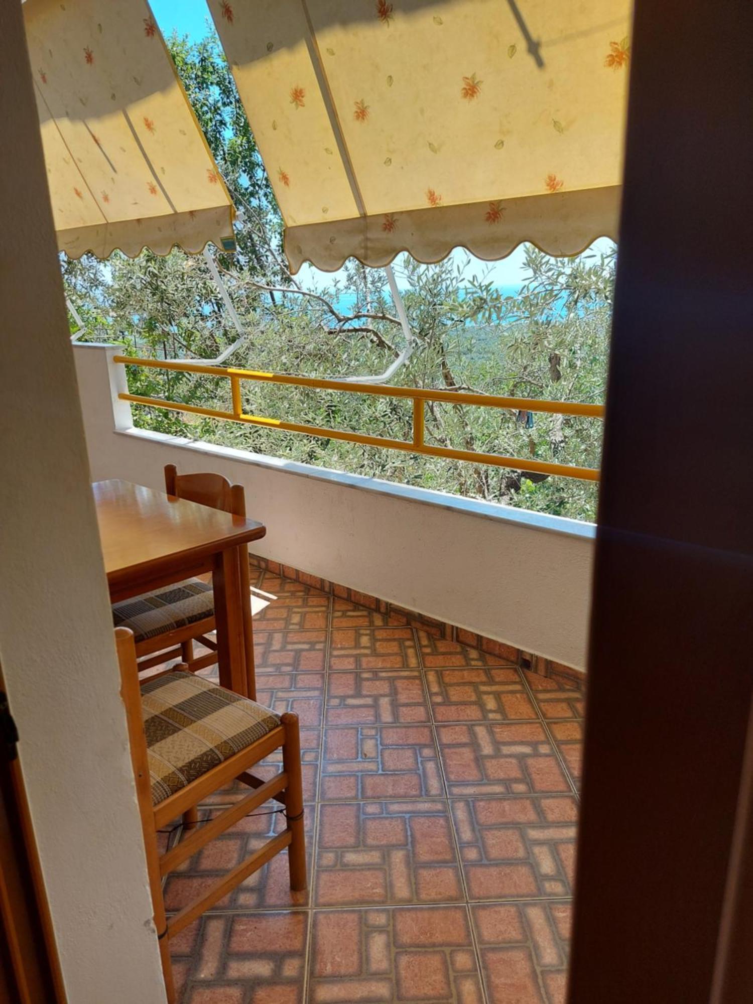 Vila Altini Borş Oda fotoğraf
